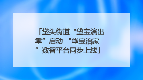 垡头街道“垡宝演出季”启动 “垡宝治家”数智平台同步上线