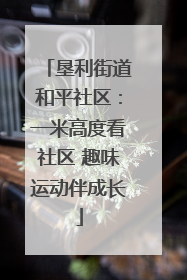垦利街道和平社区：一米高度看社区 趣味运动伴成长