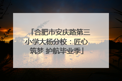 合肥市安庆路第三小学大杨分校：匠心筑梦 护航毕业季