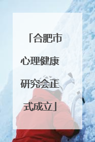 合肥市心理健康研究会正式成立