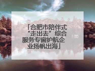 合肥市陪伴式“走出去”综合服务专窗护航企业扬帆出海