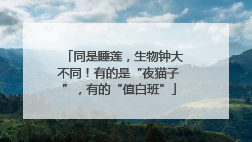 同是睡莲，生物钟大不同！有的是“夜猫子”，有的“值白班”