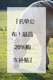 名单公布！最高20%购车补贴