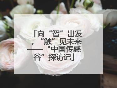向“智”出发，“触”见未来——“中国传感谷”探访记