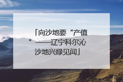 向沙地要“产值”——辽宁科尔沁沙地兴绿见闻