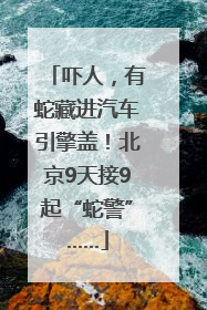 吓人，有蛇藏进汽车引擎盖！北京9天接9起“蛇警”……