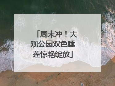 周末冲！大观公园双色睡莲惊艳绽放