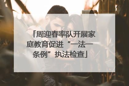 周迎春率队开展家庭教育促进“一法一条例”执法检查