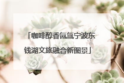 咖啡醇香氤氲宁波东钱湖文旅融合新图景