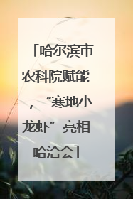 哈尔滨市农科院赋能，“寒地小龙虾”亮相哈洽会