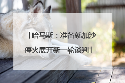 哈马斯：准备就加沙停火展开新一轮谈判