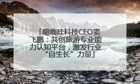 嗯噢哇科技CEO窦飞鹏：共创旅游专业能力认知平台，激发行业“自生长”力量
