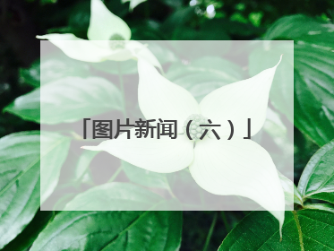 图片新闻（六）