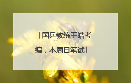 国乒教练王皓考编，本周日笔试