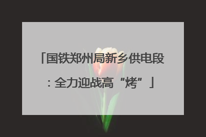 国铁郑州局新乡供电段：全力迎战高“烤”