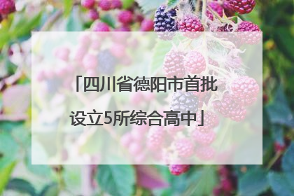 四川省德阳市首批设立5所综合高中
