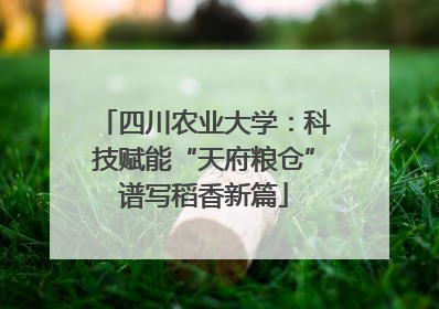 四川农业大学：科技赋能“天府粮仓”谱写稻香新篇