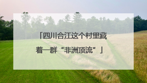 四川合江这个村里藏着一群“非洲顶流”