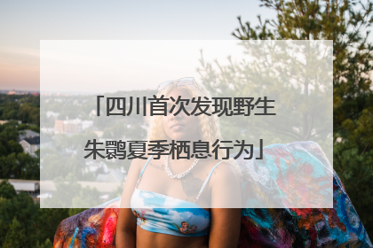 四川首次发现野生朱鹮夏季栖息行为