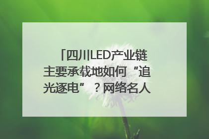 四川LED产业链主要承载地如何“追光逐电”？网络名人走进攀枝花找答案｜网络名人四川行