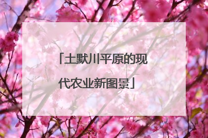 土默川平原的现代农业新图景