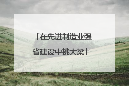 在先进制造业强省建设中挑大梁