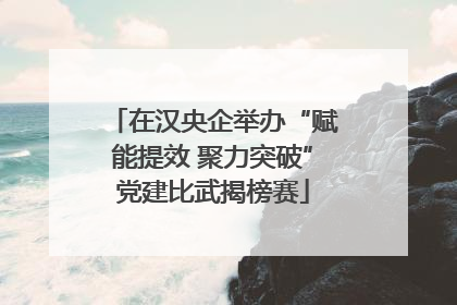 在汉央企举办“赋能提效 聚力突破”党建比武揭榜赛