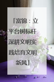 富锦：立平台树标杆深耕文明实践培育文明新风