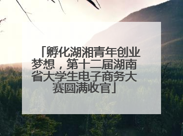 孵化湖湘青年创业梦想，第十二届湖南省大学生电子商务大赛圆满收官