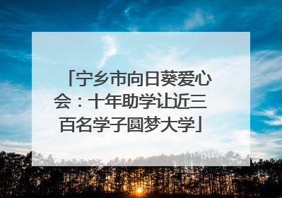 宁乡市向日葵爱心会：十年助学让近三百名学子圆梦大学