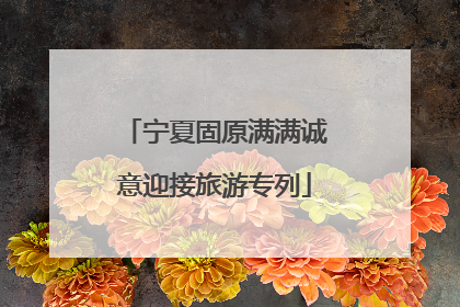宁夏固原满满诚意迎接旅游专列