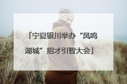 宁夏银川举办“凤鸣湖城”招才引智大会
