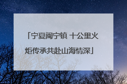 宁夏闽宁镇 十公里火炬传承共赴山海情深