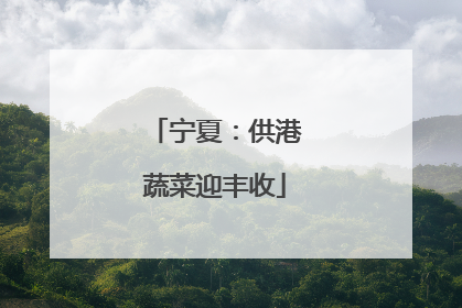 宁夏：供港蔬菜迎丰收