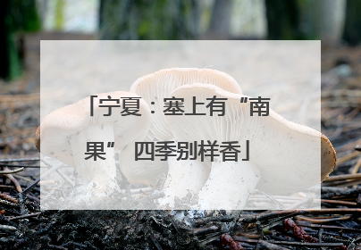 宁夏：塞上有“南果” 四季别样香