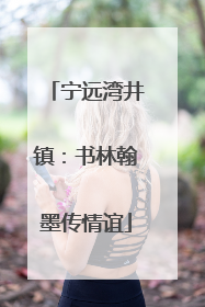 宁远湾井镇：书林翰墨传情谊