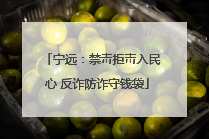 宁远：禁毒拒毒入民心 反诈防诈守钱袋