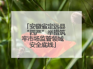 安徽省定远县“四严”举措筑牢市场监管领域安全底线