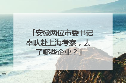 安徽两位市委书记率队赴上海考察，去了哪些企业？