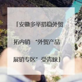 安徽多举措稳外贸拓内销 “外贸产品展销专区”受青睐