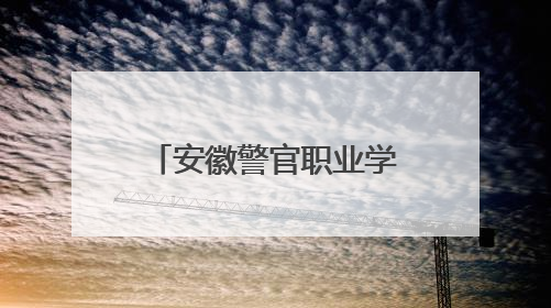 安徽警官职业学院学子助力合肥市第三届“小手牵大手、共建法治城”公益普法活动