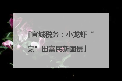 宜城税务：小龙虾“烹”出富民新图景