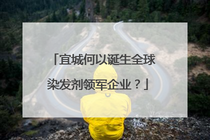 宜城何以诞生全球染发剂领军企业？