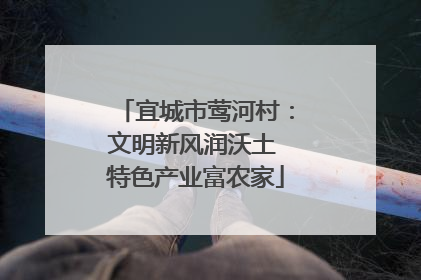 宜城市莺河村：文明新风润沃土 特色产业富农家