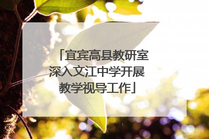 宜宾高县教研室深入文江中学开展教学视导工作