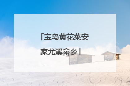 宝岛黄花菜安家尤溪畲乡
