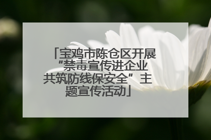 宝鸡市陈仓区开展“禁毒宣传进企业 共筑防线保安全”主题宣传活动