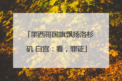 墨西哥国旗飘扬洛杉矶 白宫：看，罪证
