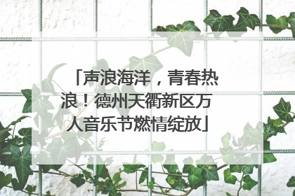 声浪海洋，青春热浪！德州天衢新区万人音乐节燃情绽放