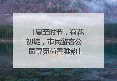 夏至时节，荷花初绽，市民游客公园寻觅荷香雅韵